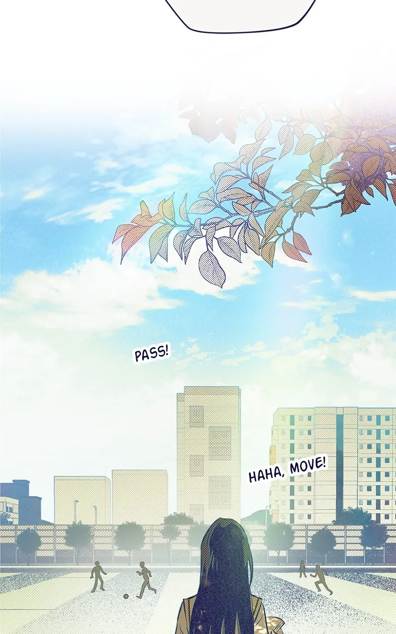 Four Options Chapter 4 page 24 - 