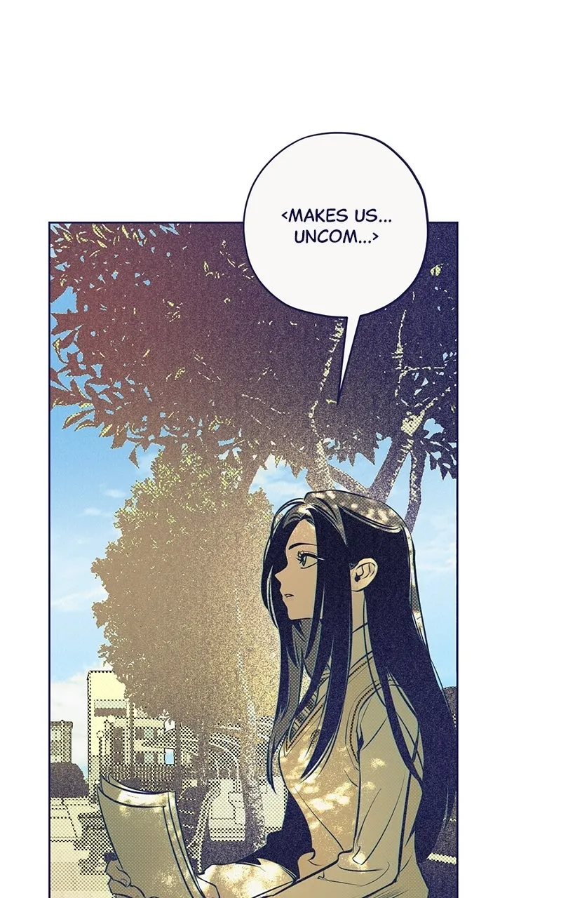 Four Options Chapter 4 page 29 - 