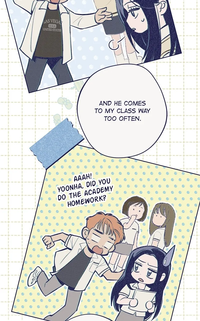 Four Options Chapter 4 page 49 - 