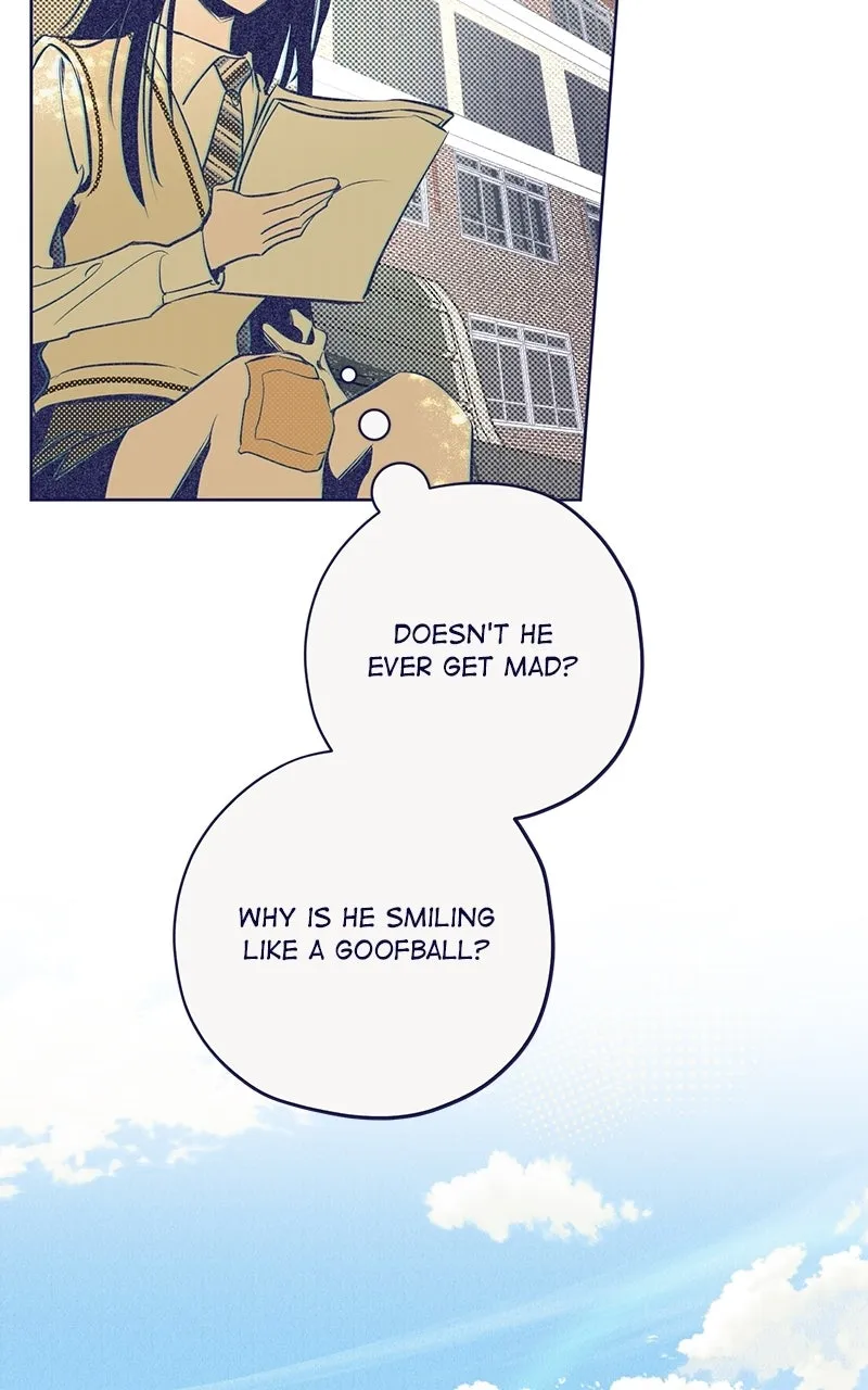 Four Options Chapter 4 page 65 - 