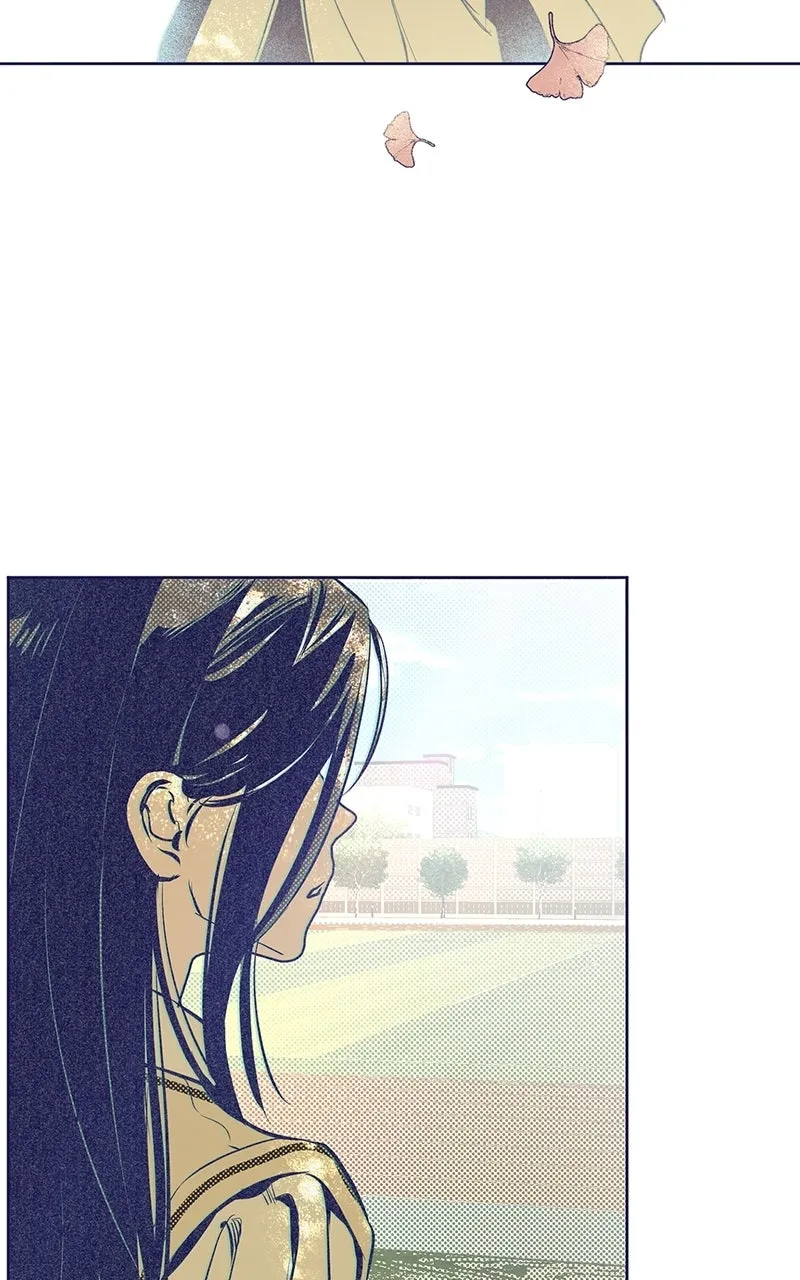 Four Options Chapter 4 page 69 - 