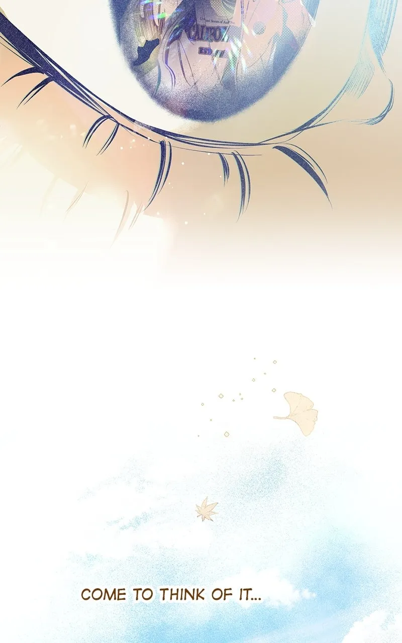 Four Options Chapter 4 page 71 - 