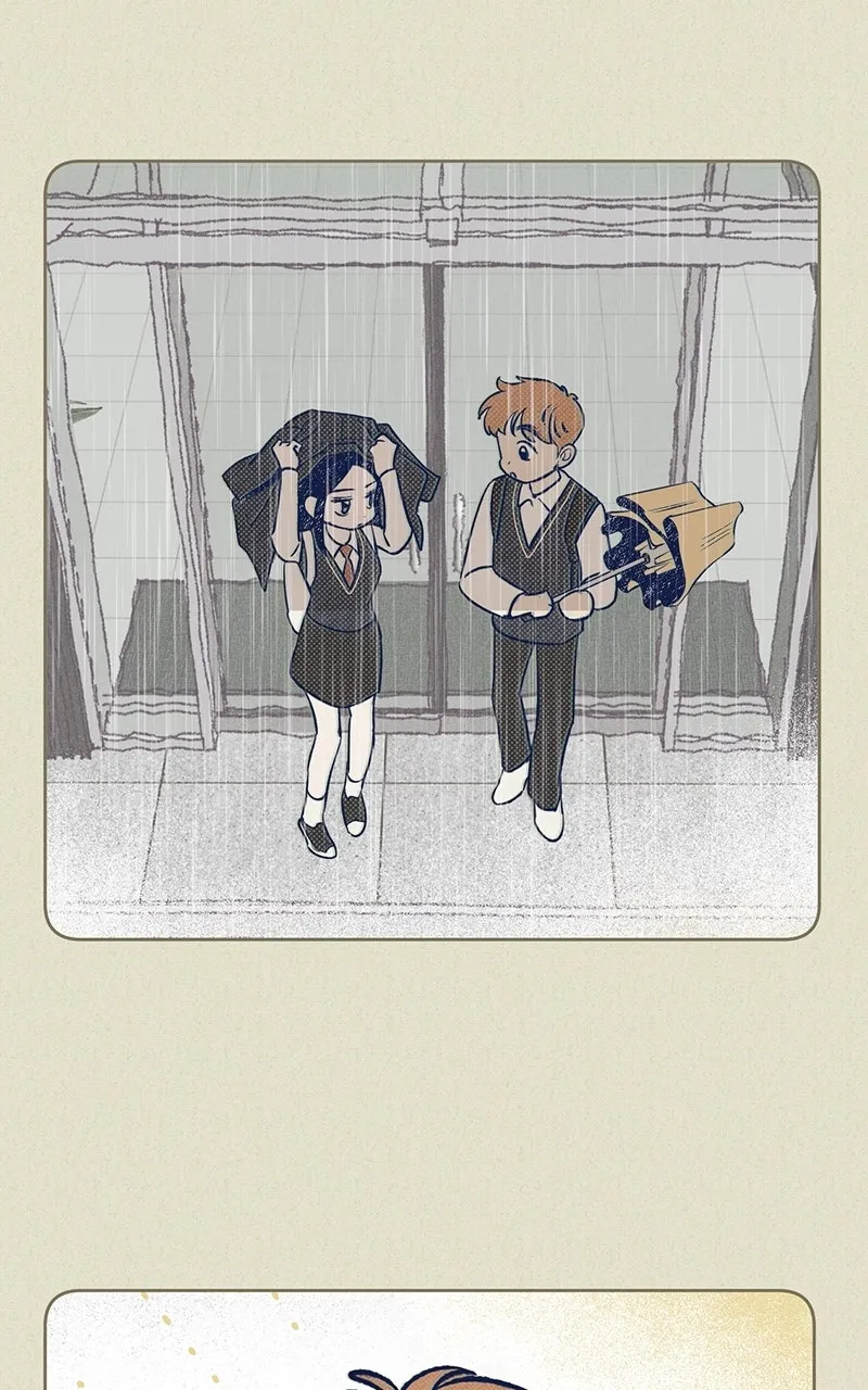 Four Options Chapter 4 page 79 - 