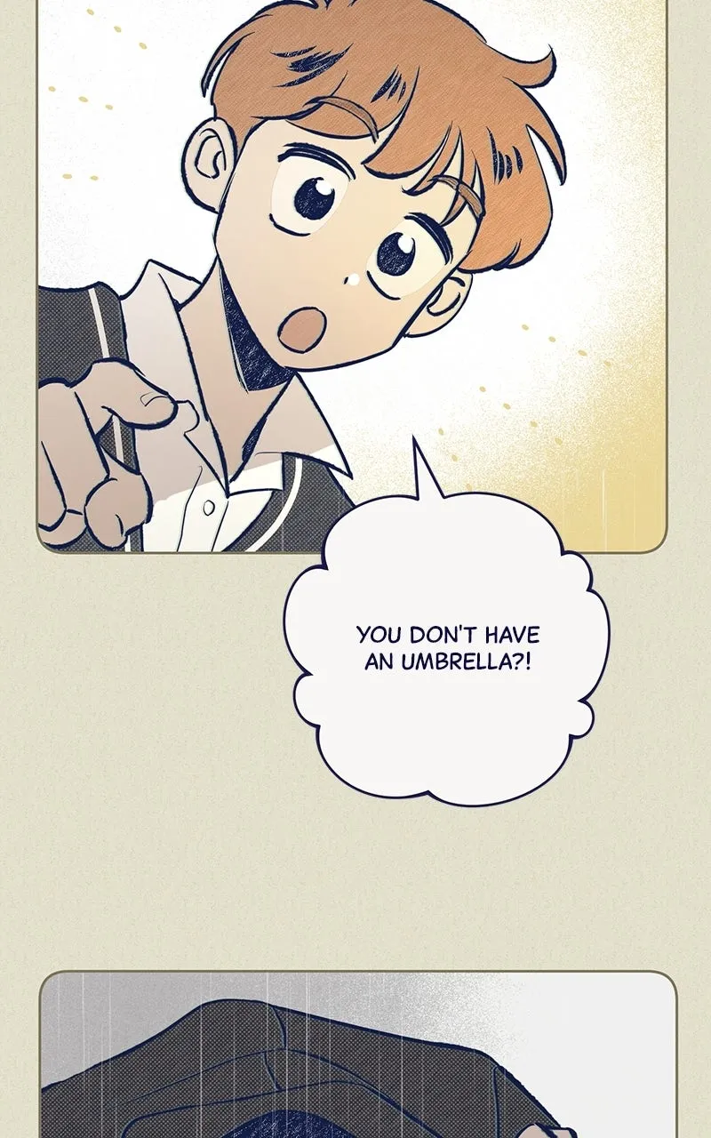 Four Options Chapter 4 page 80 - 