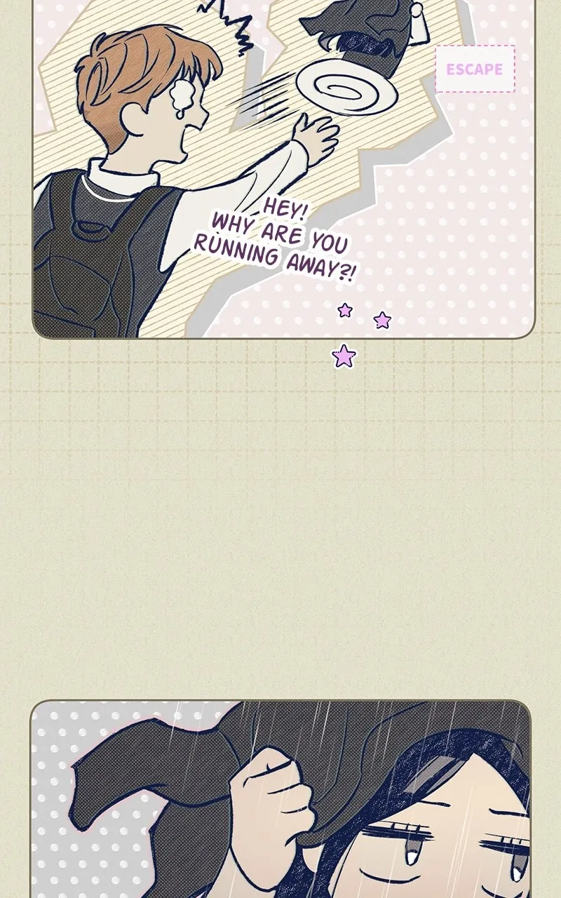 Four Options Chapter 4 page 83 - 