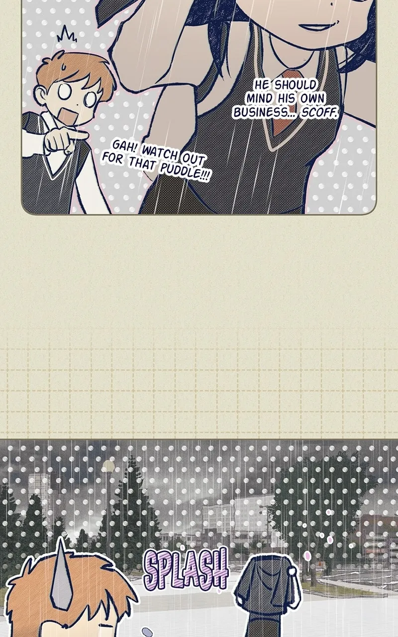 Four Options Chapter 4 page 84 - 