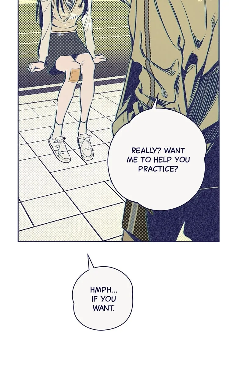 Four Options Chapter 4 page 96 - 