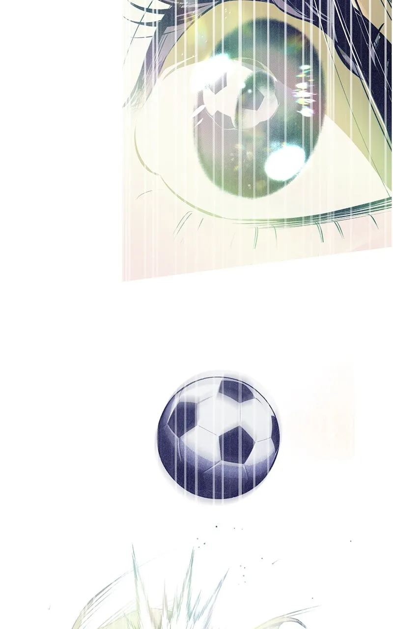 Four Options Chapter 5 page 13 - 