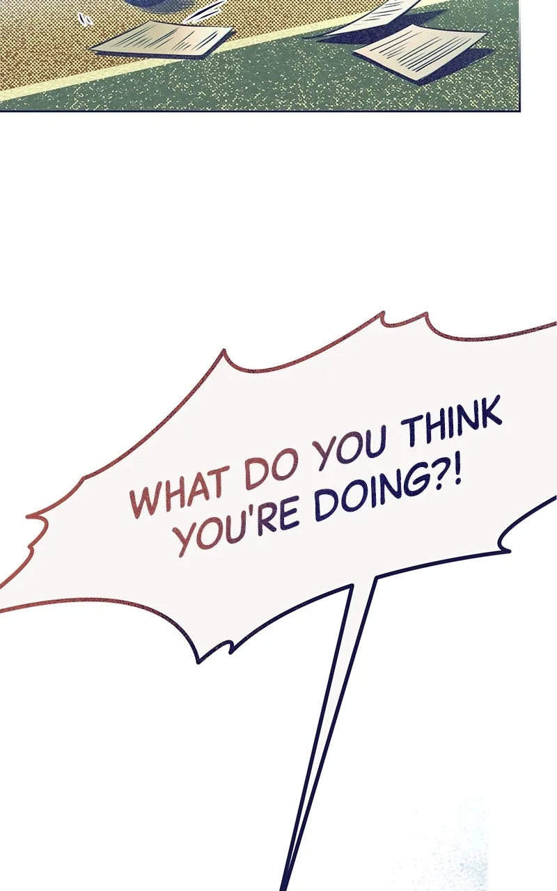 Four Options Chapter 5 page 19 - 