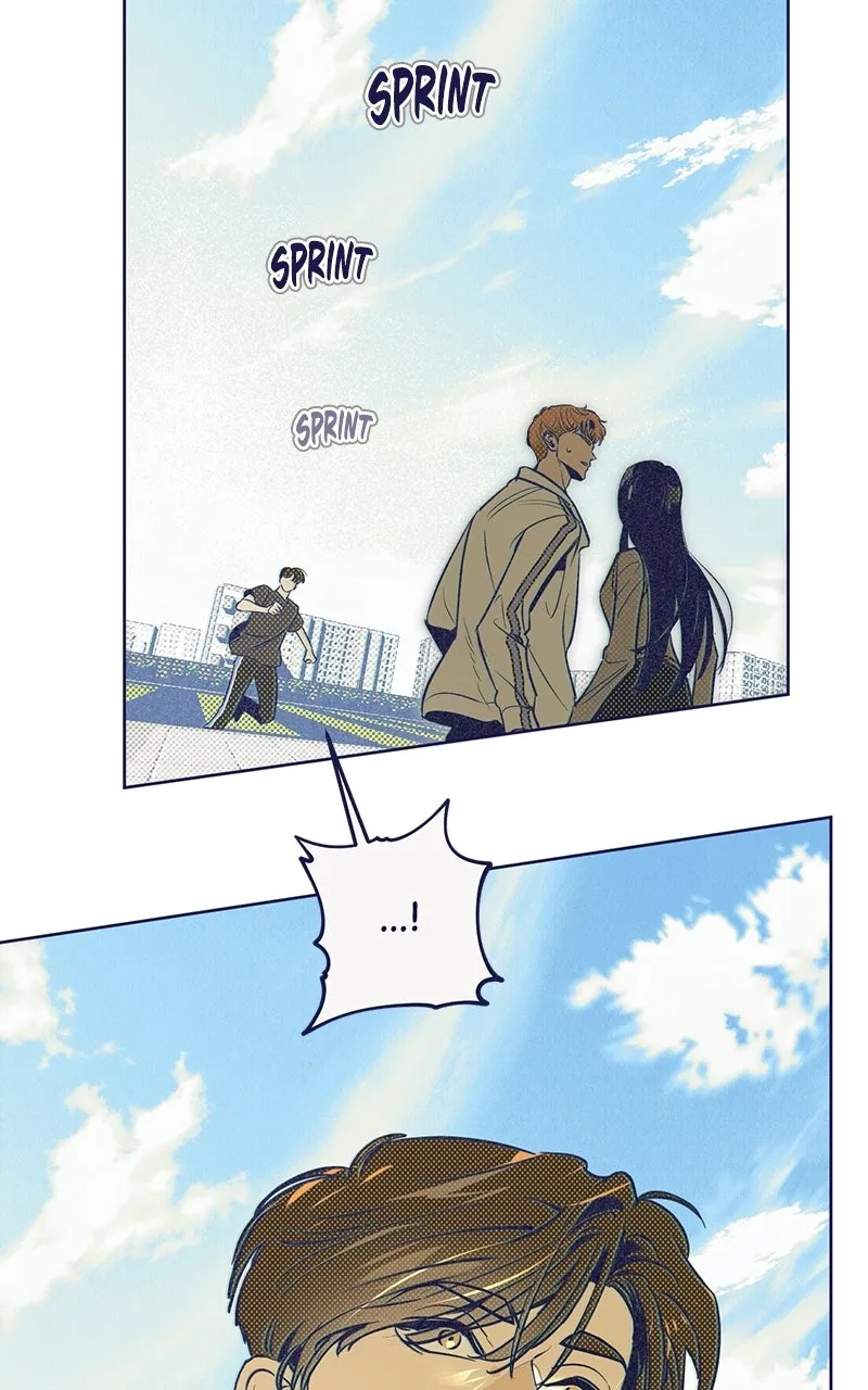 Four Options Chapter 5 page 21 - 
