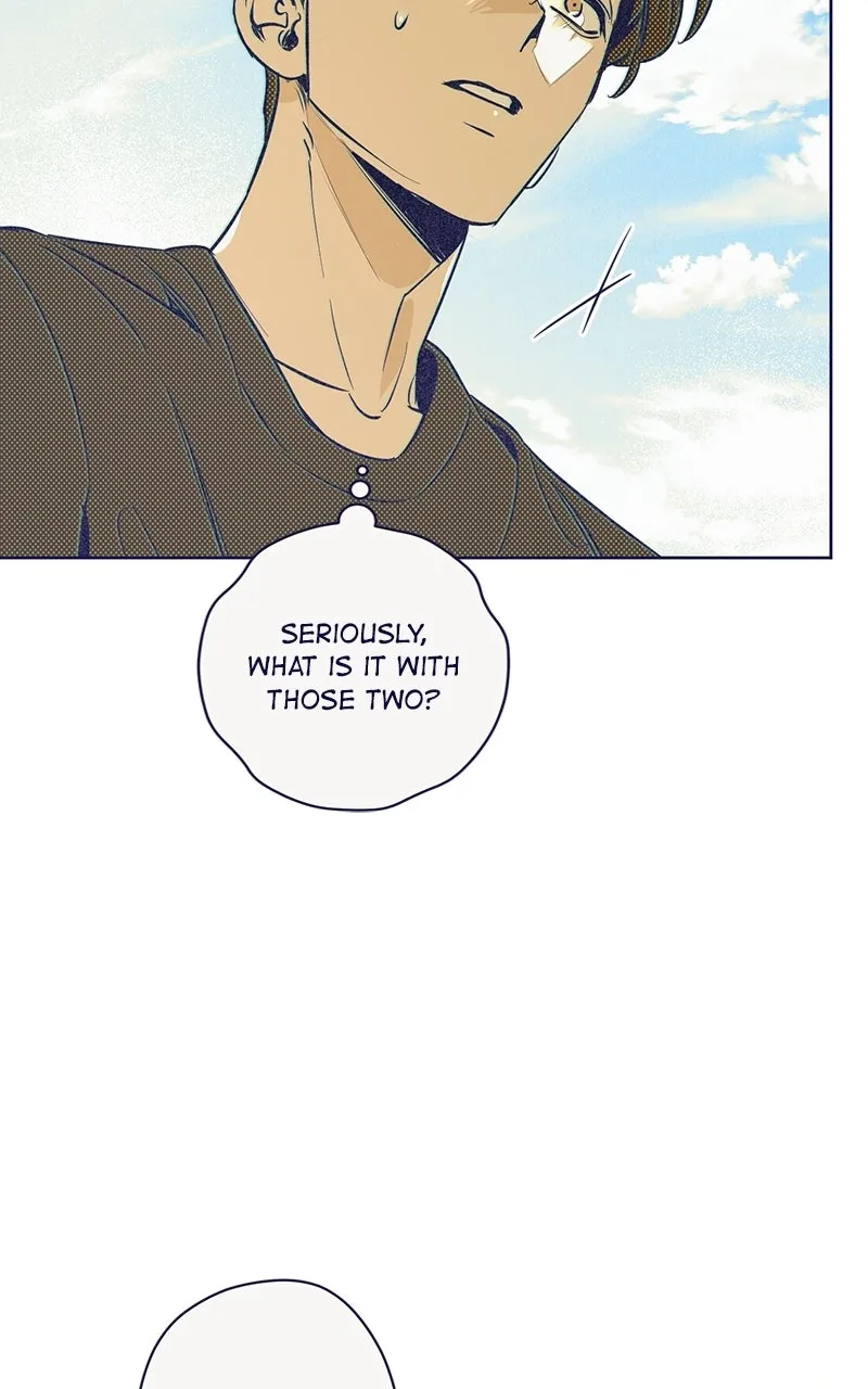Four Options Chapter 5 page 22 - 
