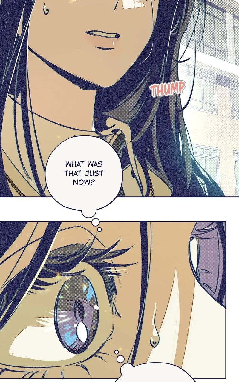 Four Options Chapter 5 page 26 - 