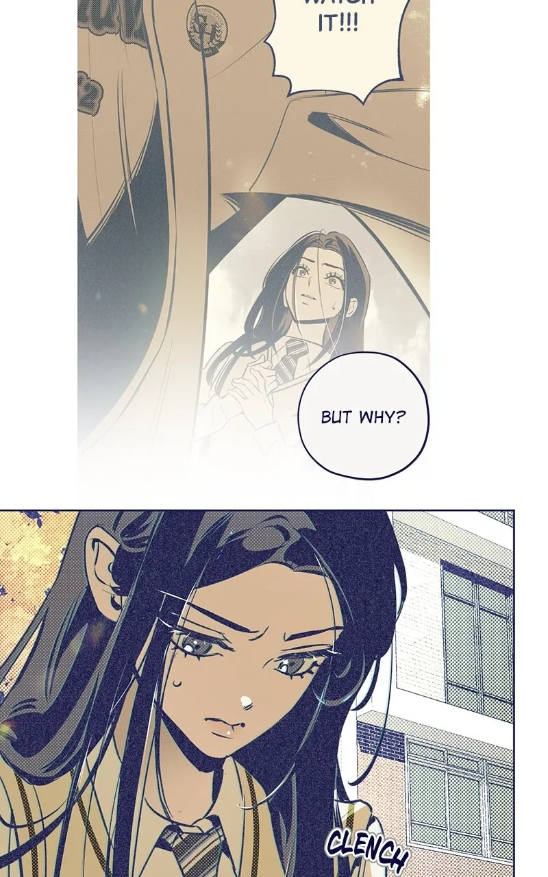 Four Options Chapter 5 page 28 - 