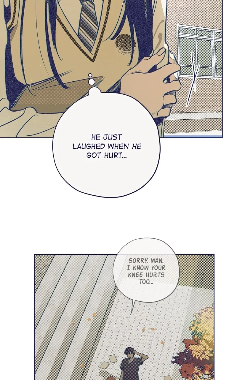 Four Options Chapter 5 page 29 - 