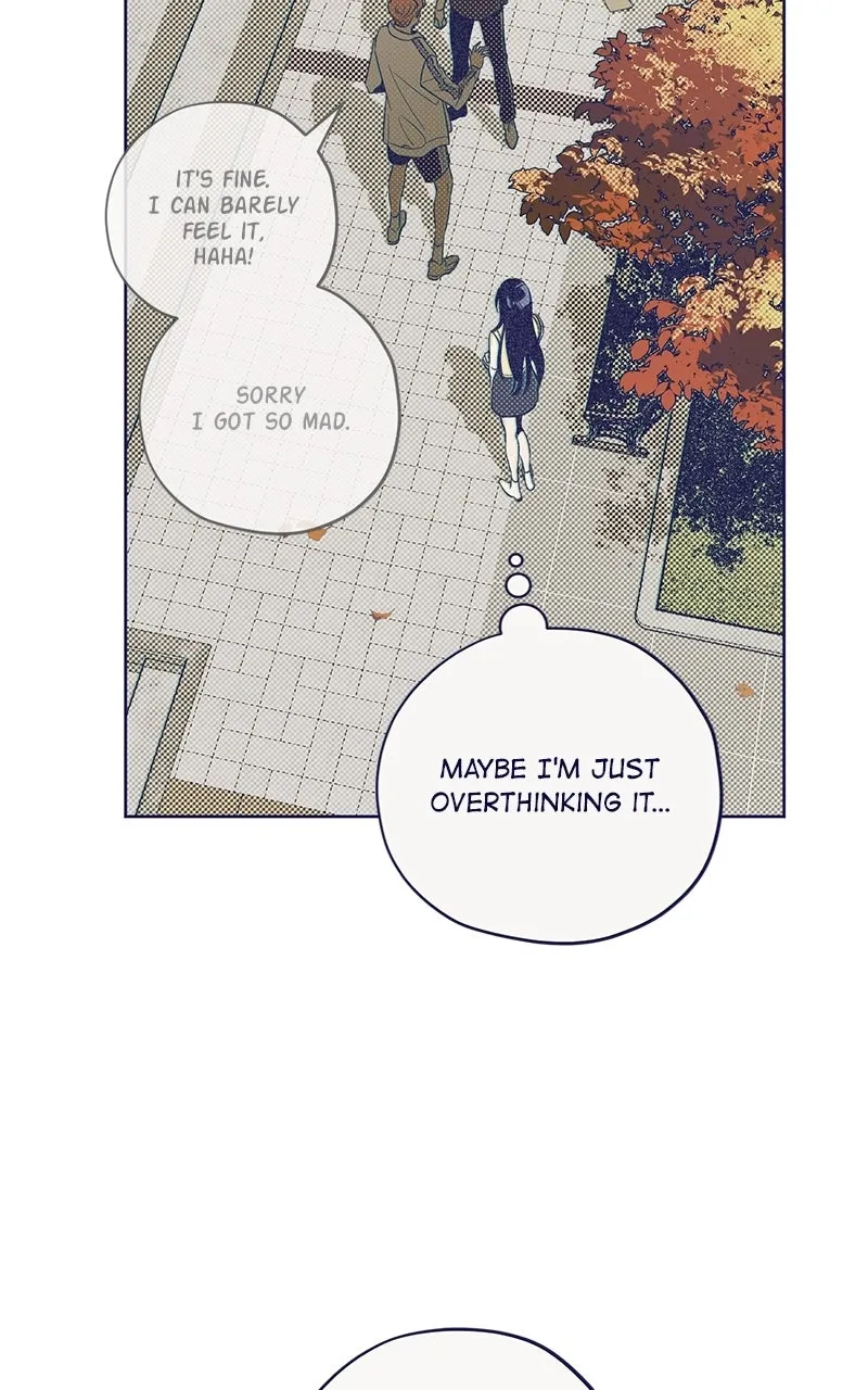Four Options Chapter 5 page 30 - 