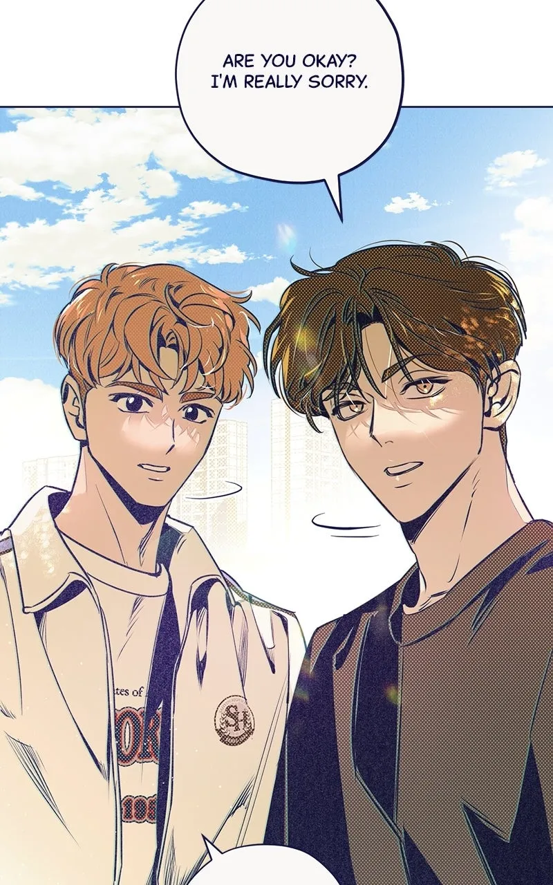 Four Options Chapter 5 page 31 - 