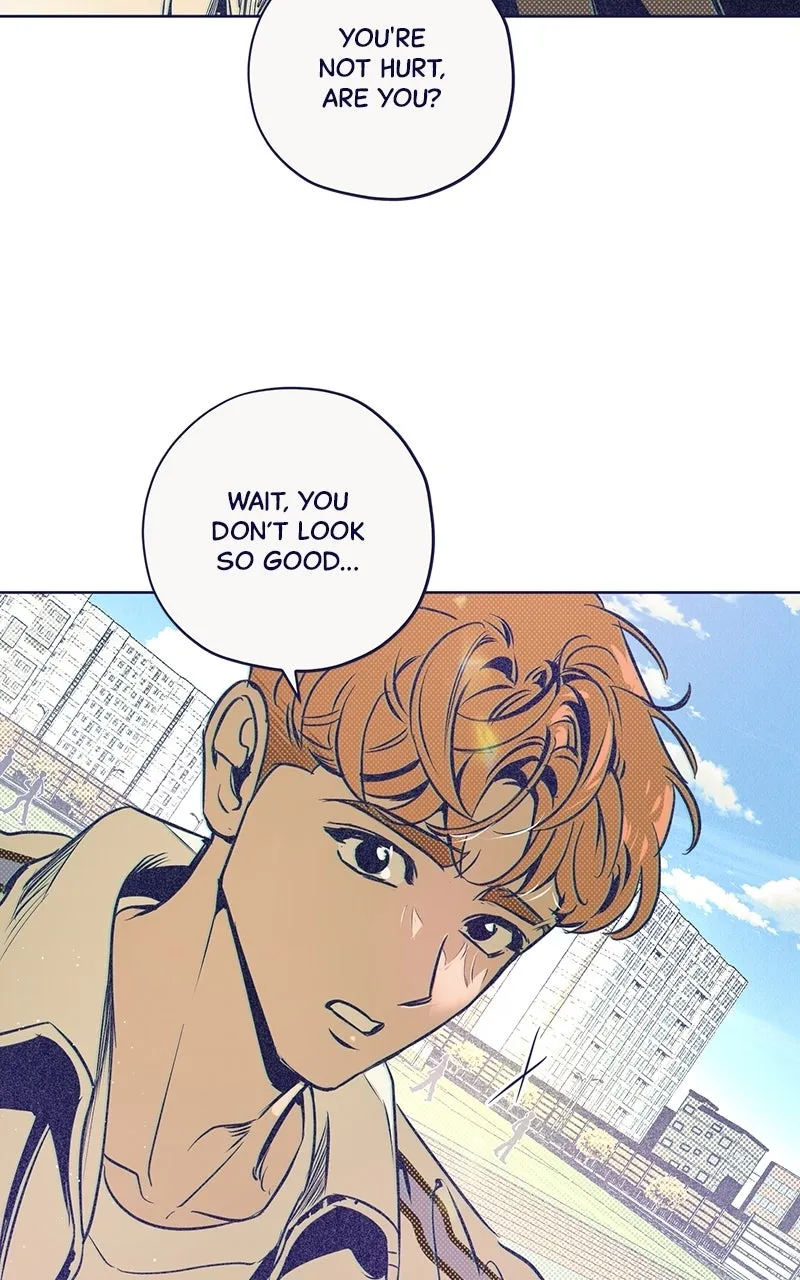 Four Options Chapter 5 page 32 - 