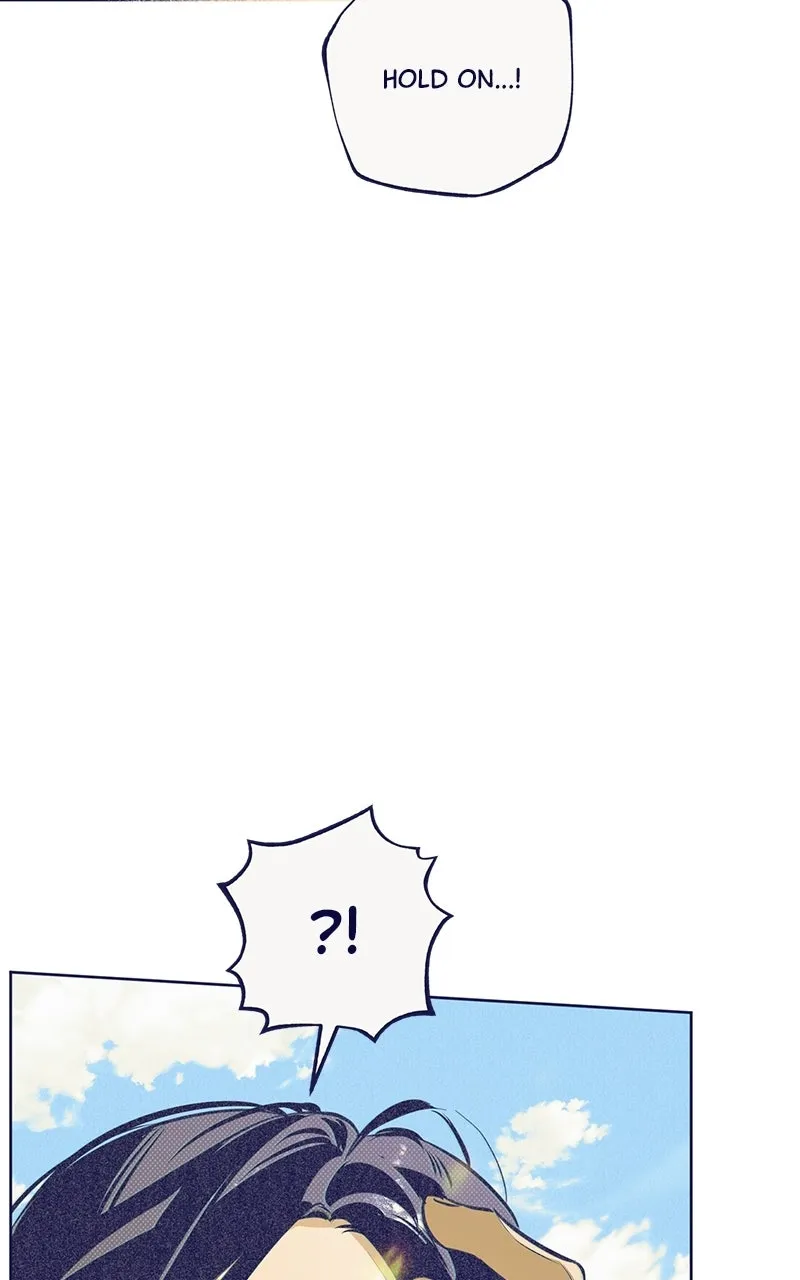 Four Options Chapter 5 page 39 - 