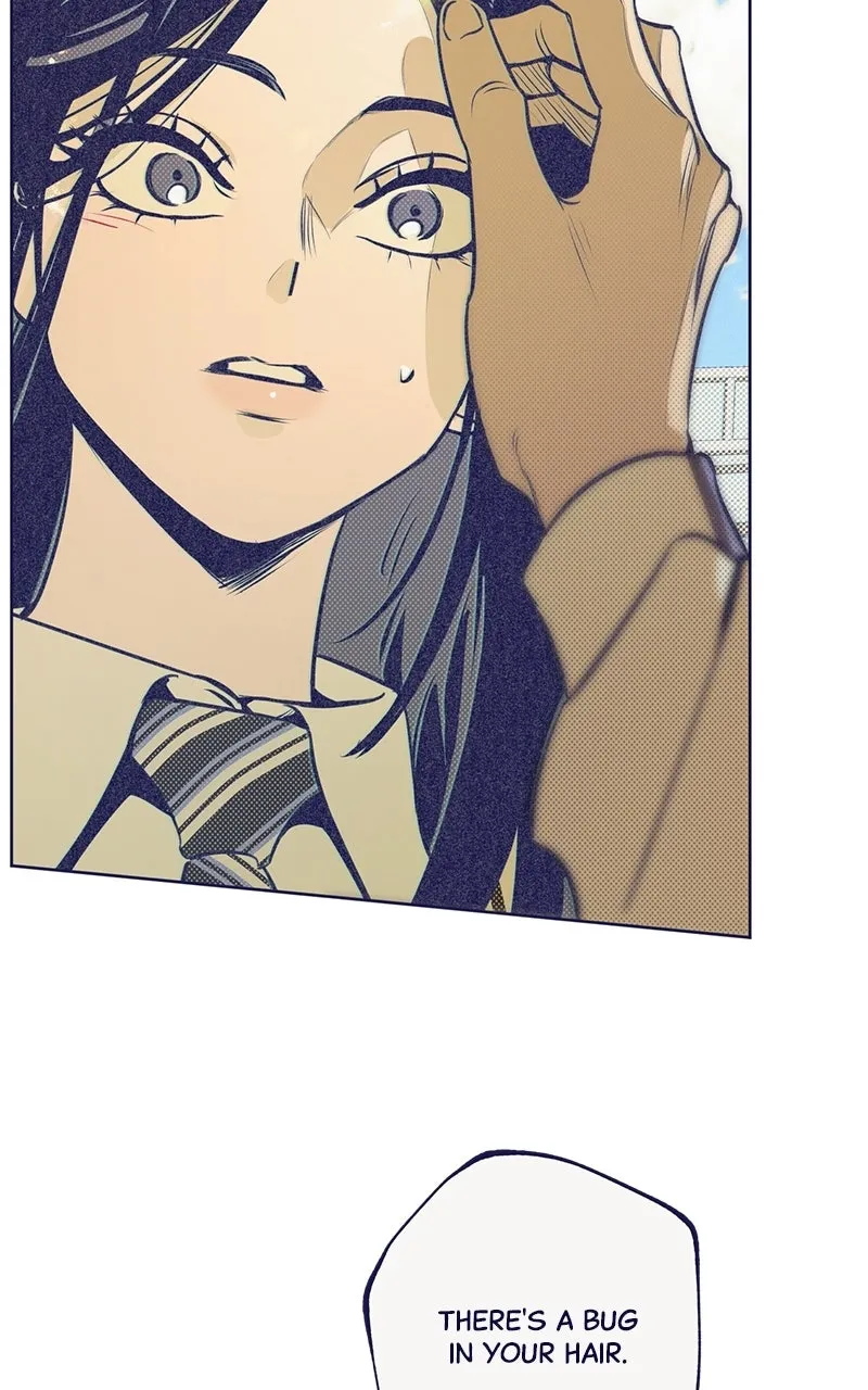 Four Options Chapter 5 page 40 - 