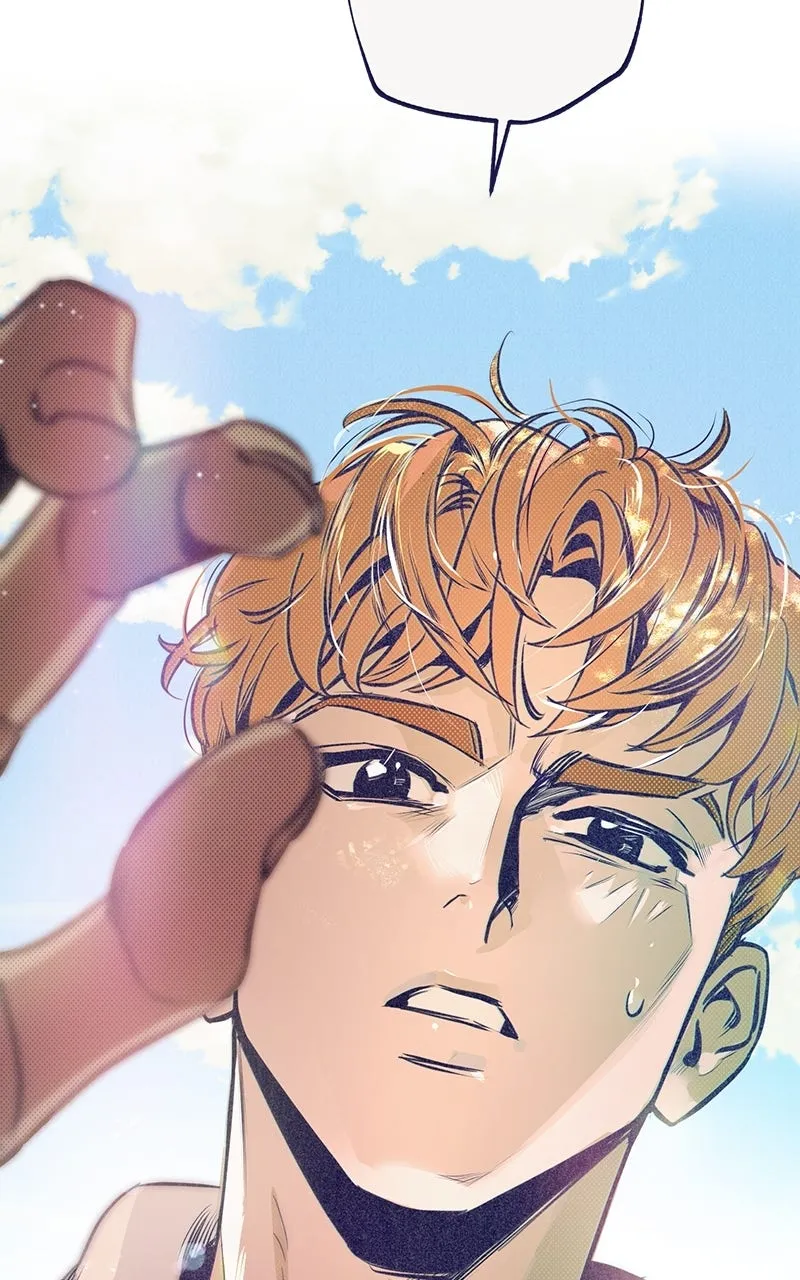 Four Options Chapter 5 page 41 - 