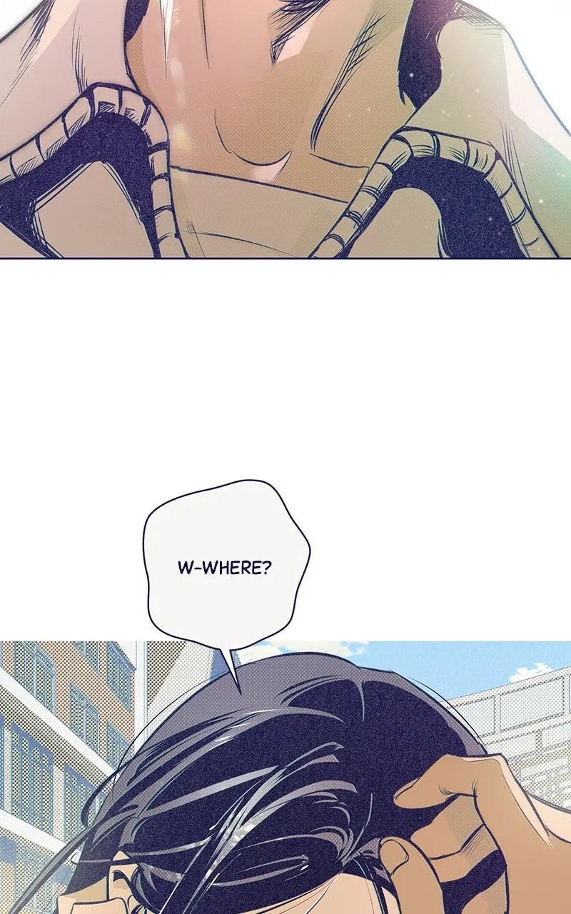 Four Options Chapter 5 page 42 - 