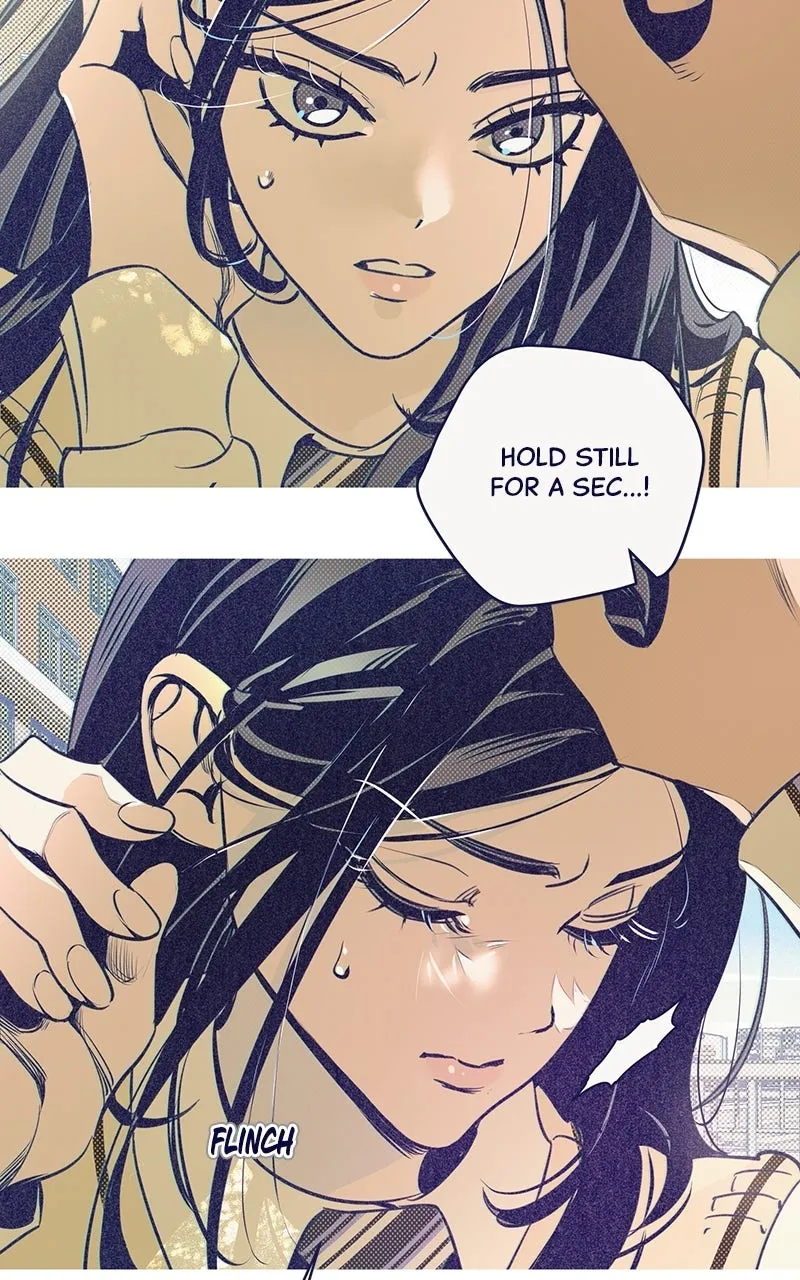 Four Options Chapter 5 page 43 - 