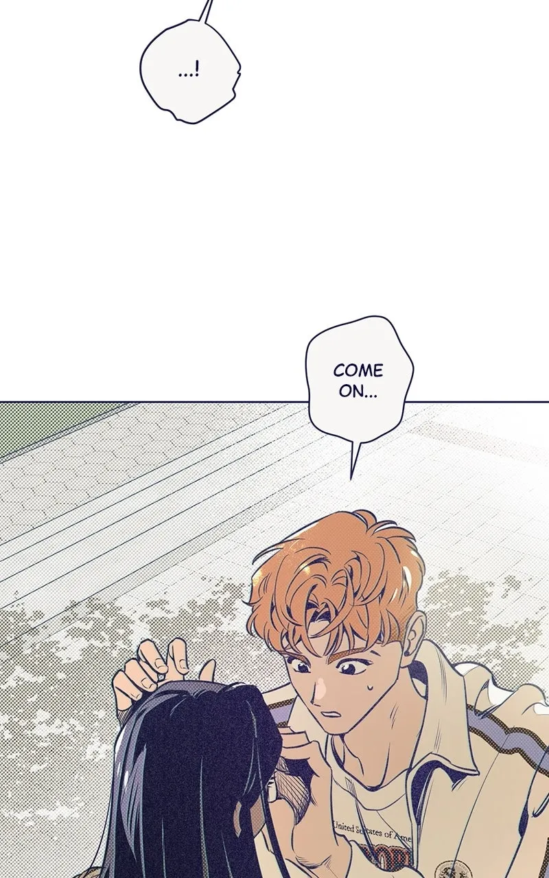 Four Options Chapter 5 page 44 - 