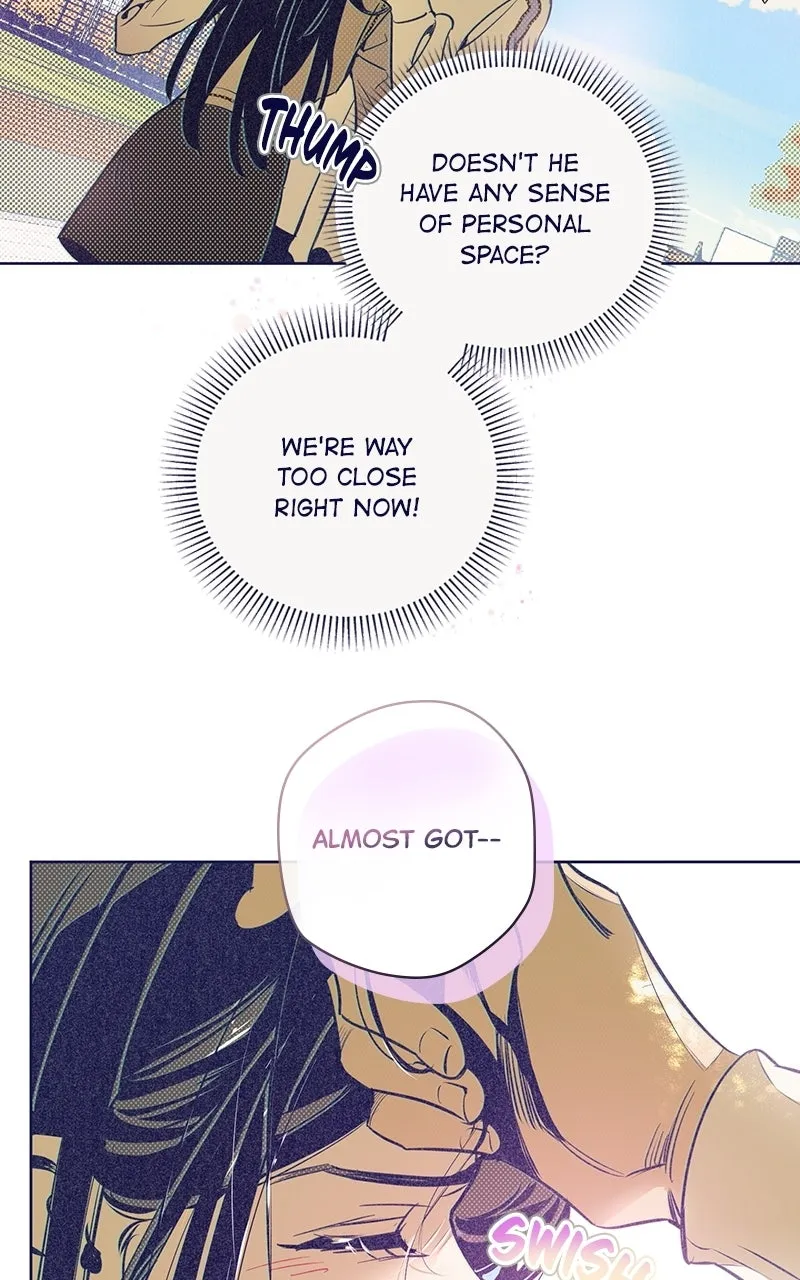 Four Options Chapter 5 page 47 - 