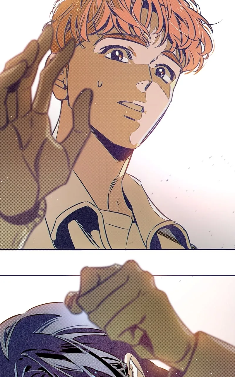 Four Options Chapter 5 page 51 - 