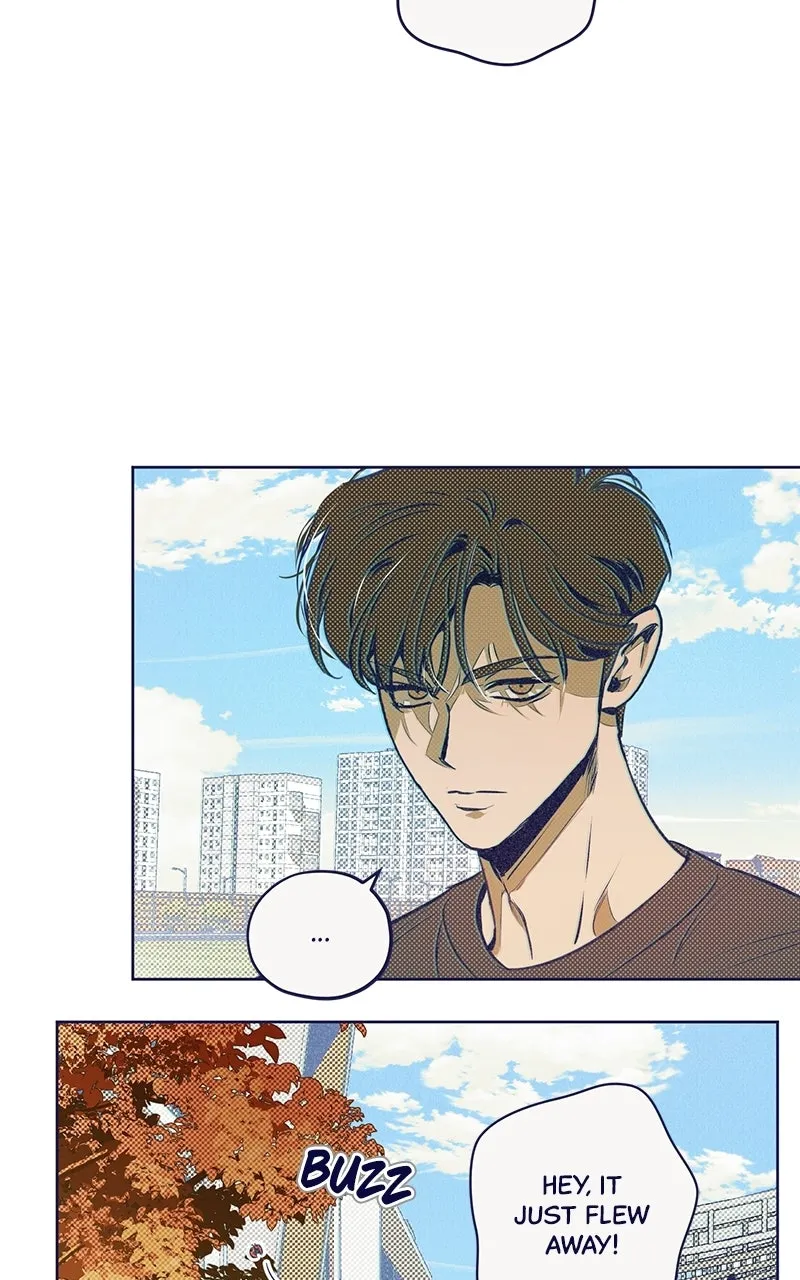 Four Options Chapter 5 page 55 - 