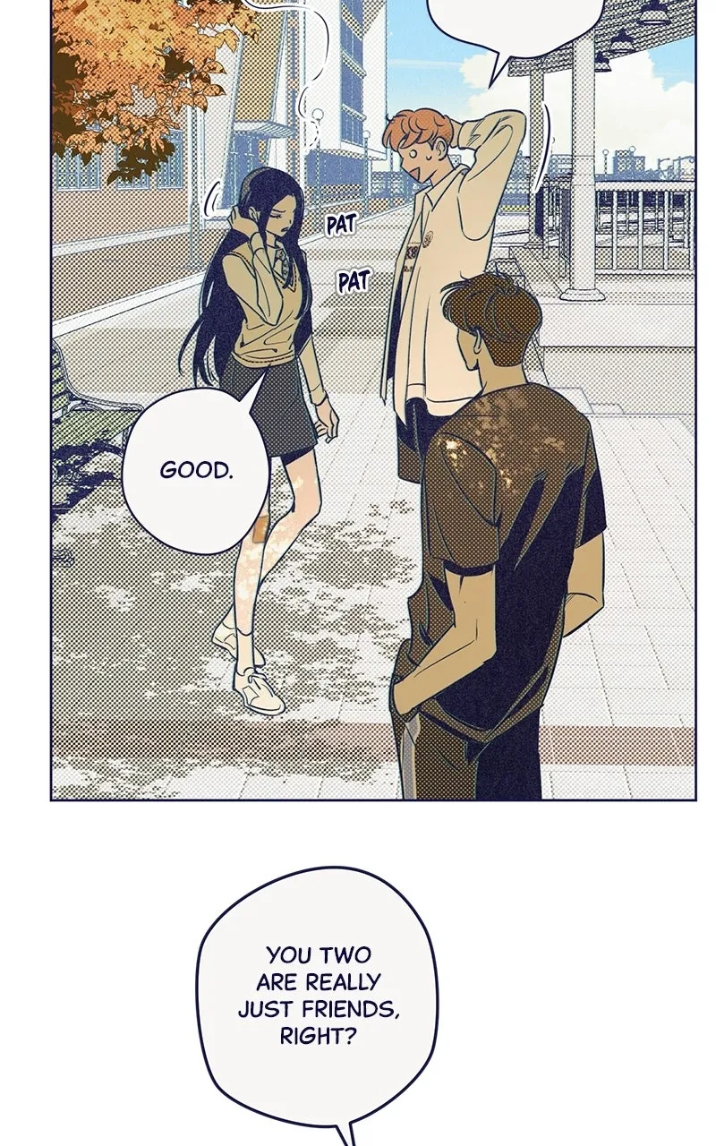 Four Options Chapter 5 page 56 - 
