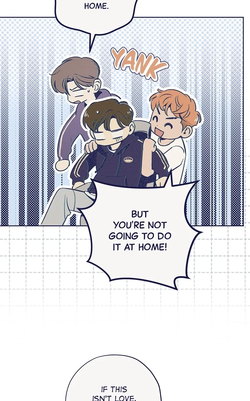 Four Options Chapter 5 page 7 - 
