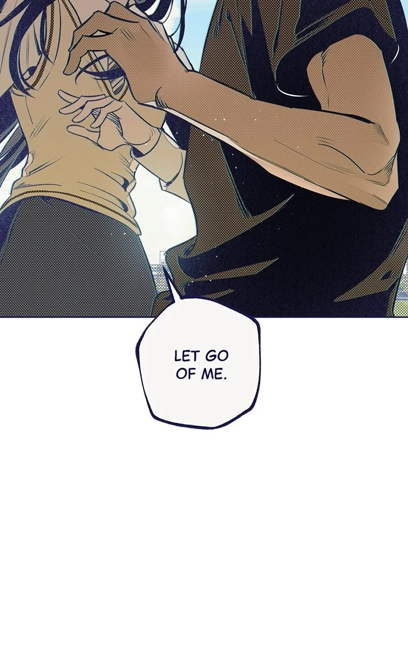 Four Options Chapter 5 page 62 - 
