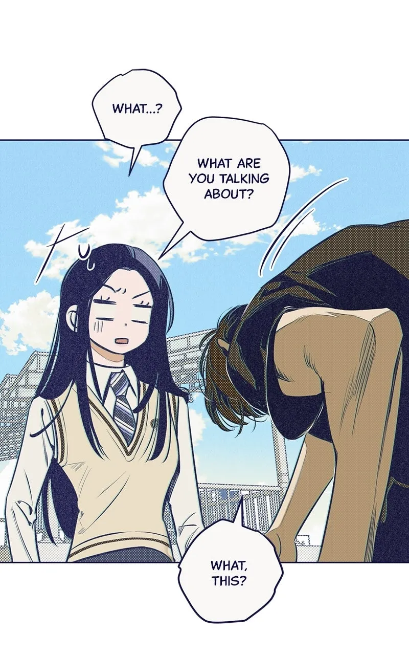 Four Options Chapter 5 page 75 - 