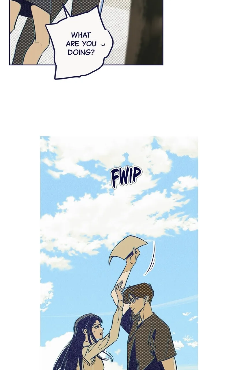 Four Options Chapter 5 page 79 - 