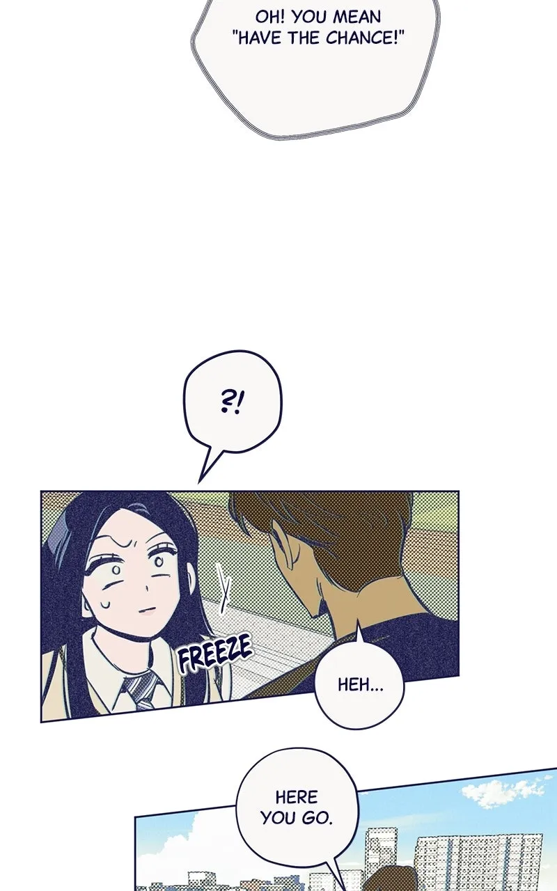Four Options Chapter 5 page 82 - 