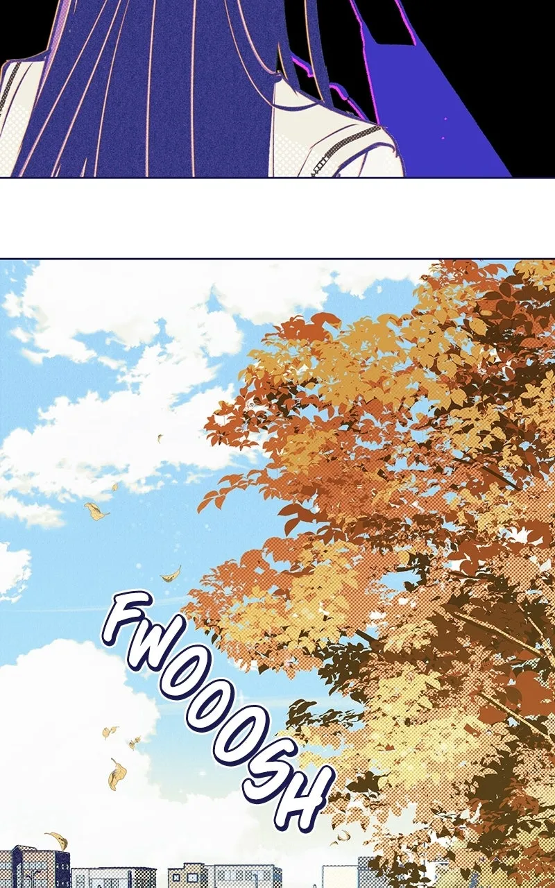 Four Options Chapter 5 page 85 - 