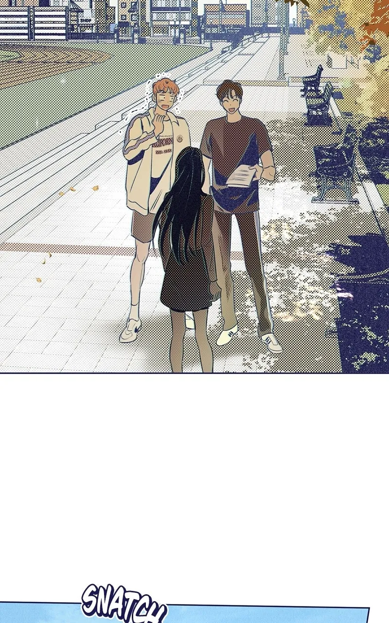 Four Options Chapter 5 page 86 - 