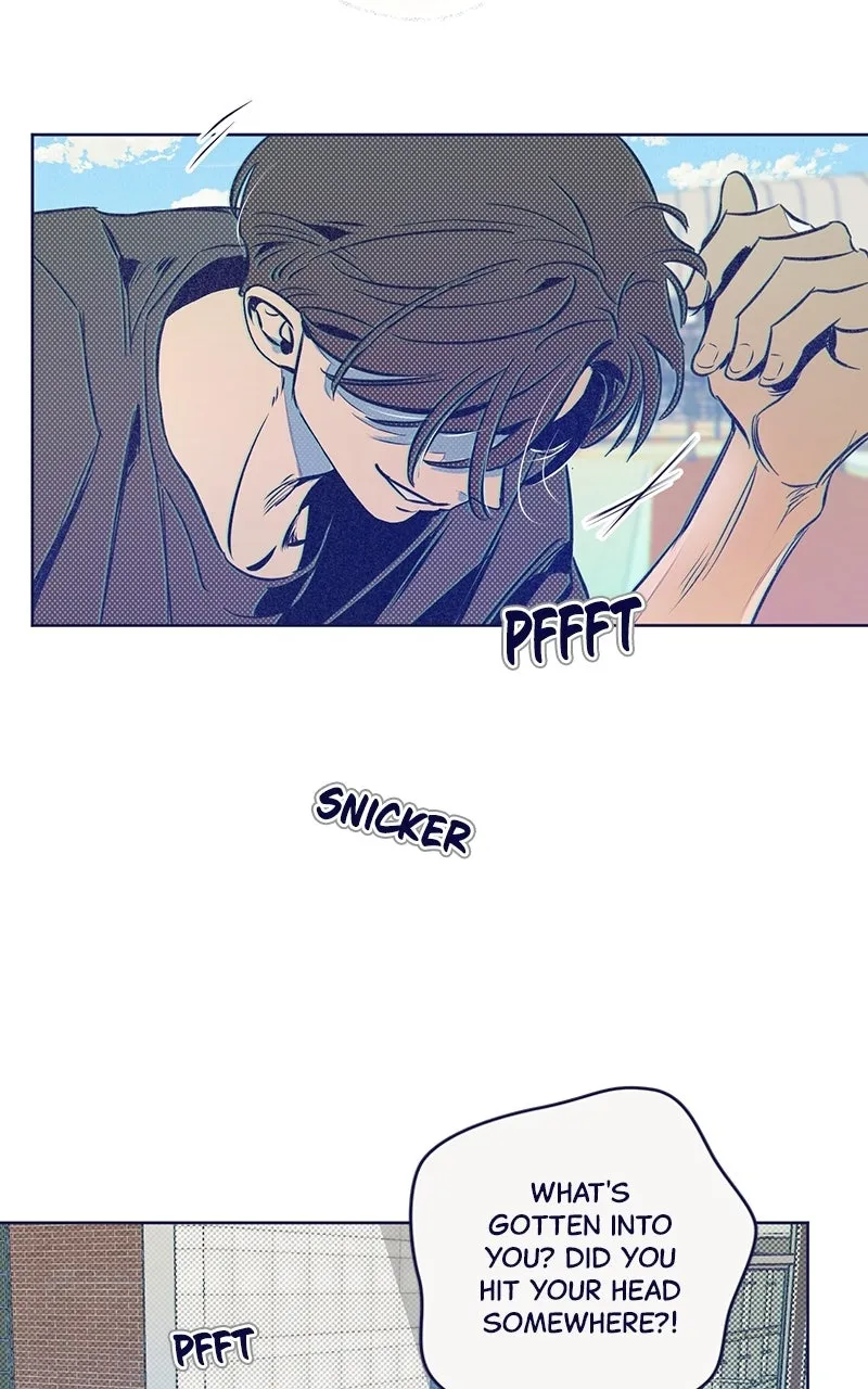 Four Options Chapter 5 page 97 - 