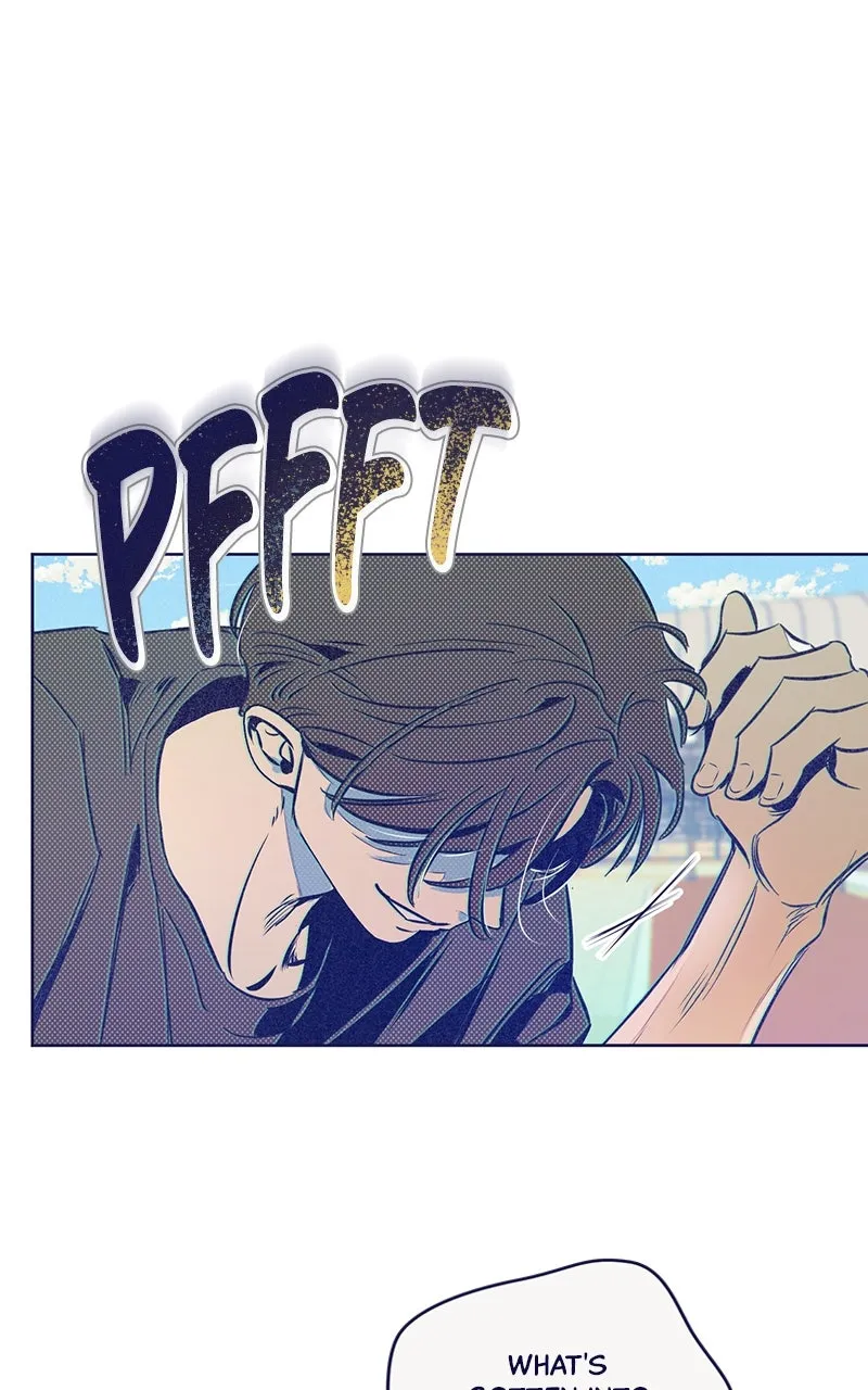 Four Options Chapter 6 page 1 - 