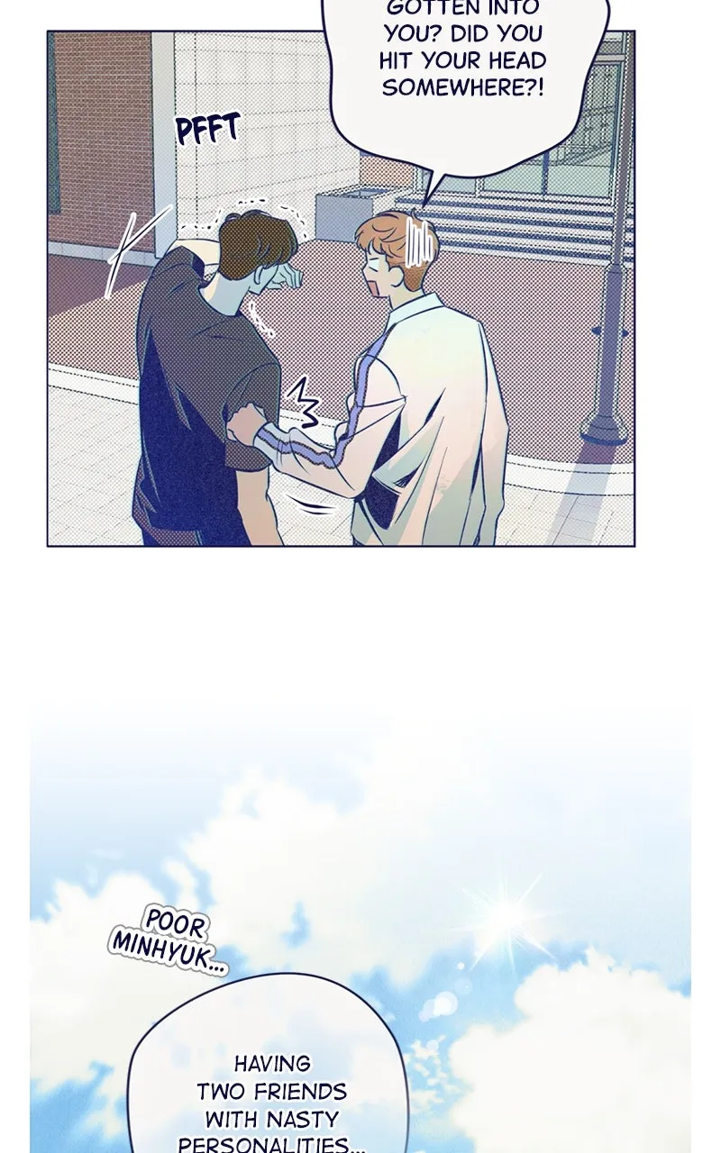 Four Options Chapter 6 page 2 - 