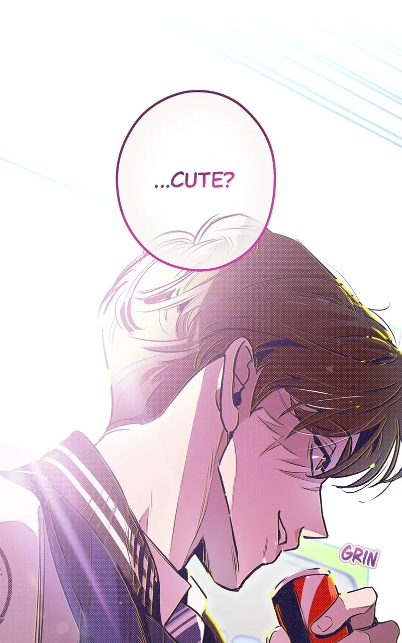 Four Options Chapter 6 page 104 - 