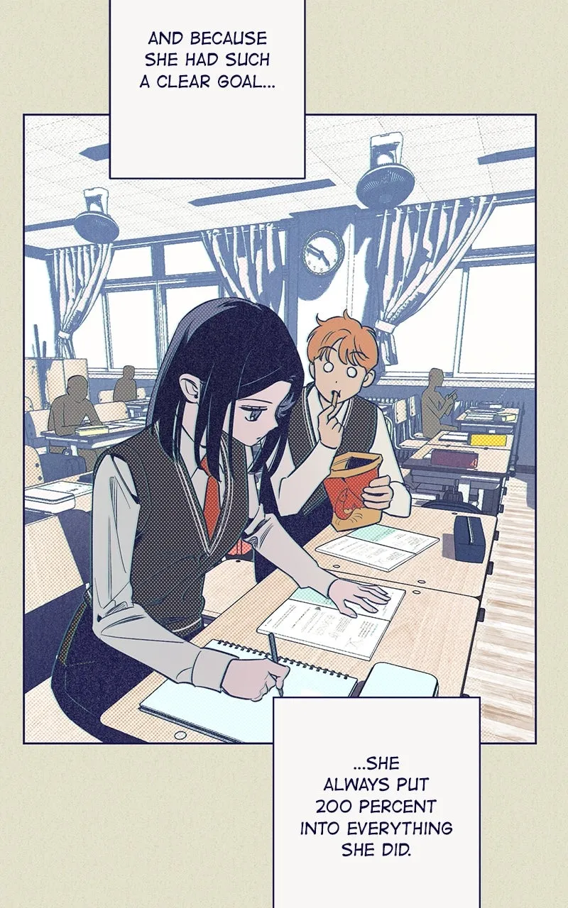 Four Options Chapter 6 page 13 - 