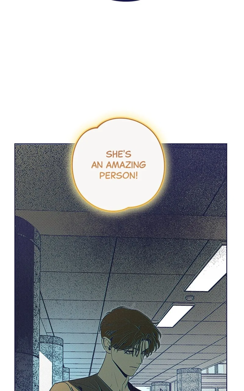 Four Options Chapter 6 page 20 - 