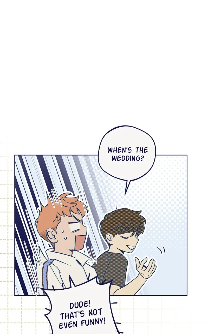 Four Options Chapter 6 page 23 - 