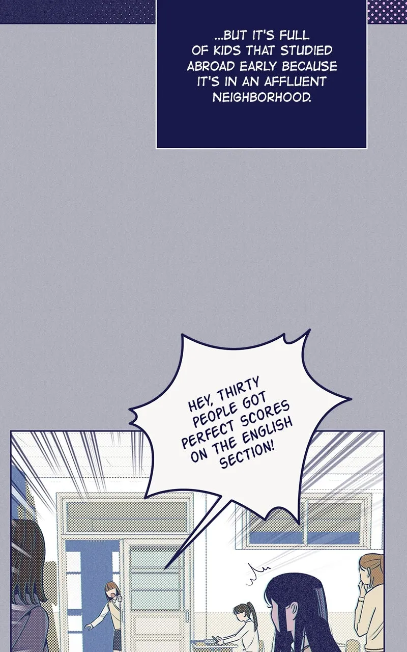 Four Options Chapter 6 page 35 - 