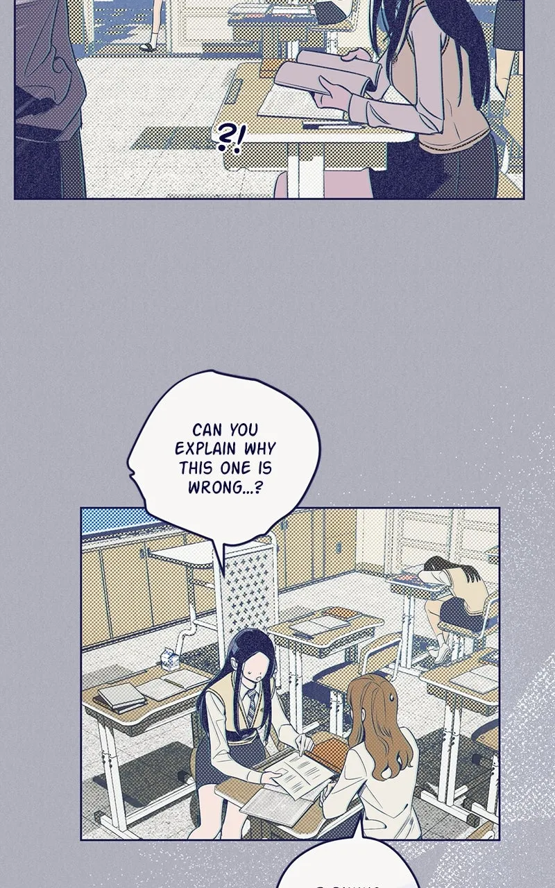 Four Options Chapter 6 page 36 - 