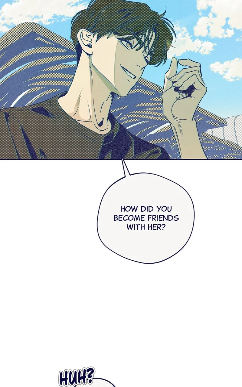 Four Options Chapter 6 page 5 - 