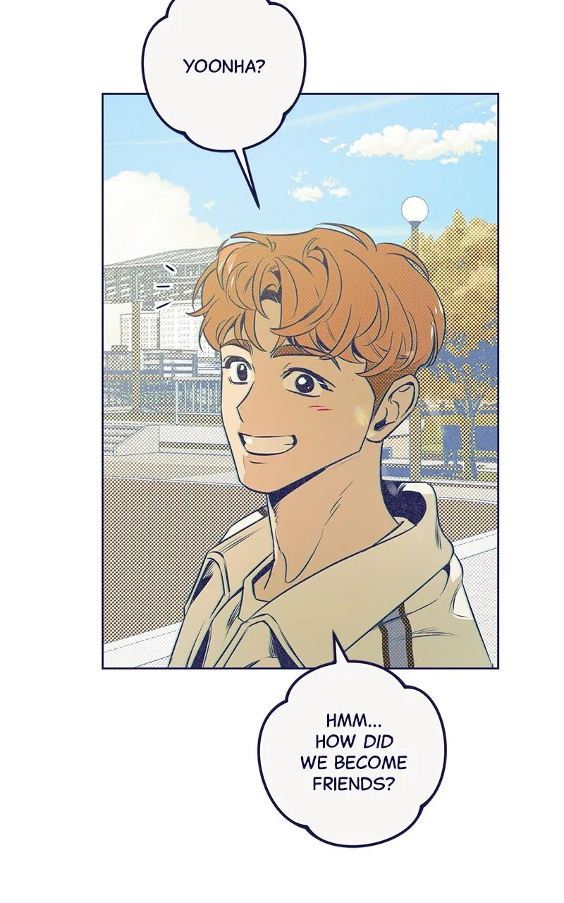 Four Options Chapter 6 page 6 - 
