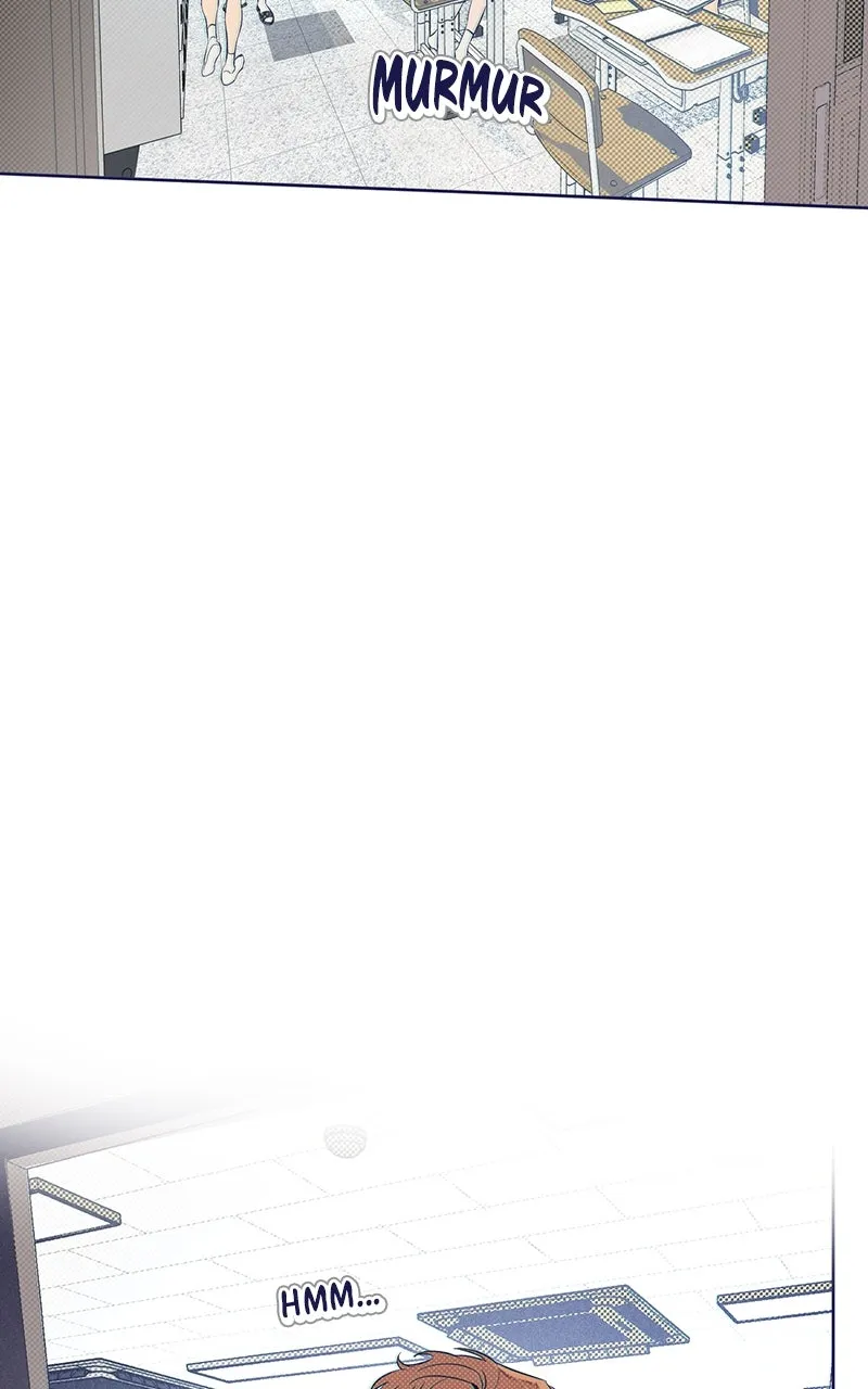 Four Options Chapter 6 page 51 - 